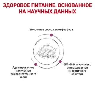 Лечебный сухой корм для собак Royal Canin Early Renal Dog (для взрослых собак при ранней стадии почечной недостаточности)